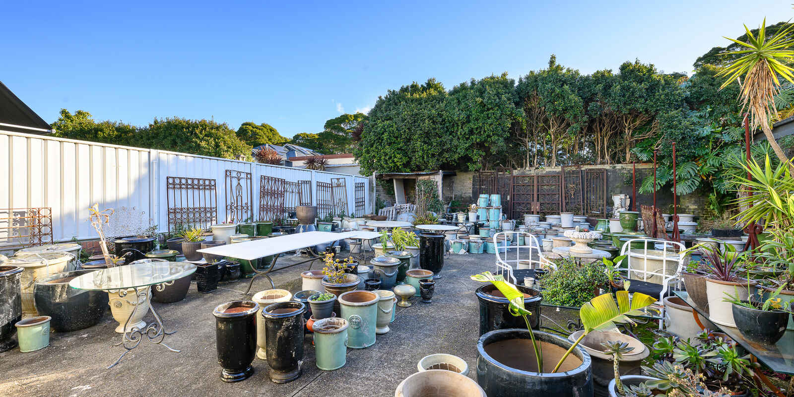 88 Penshurst Street Willoughby