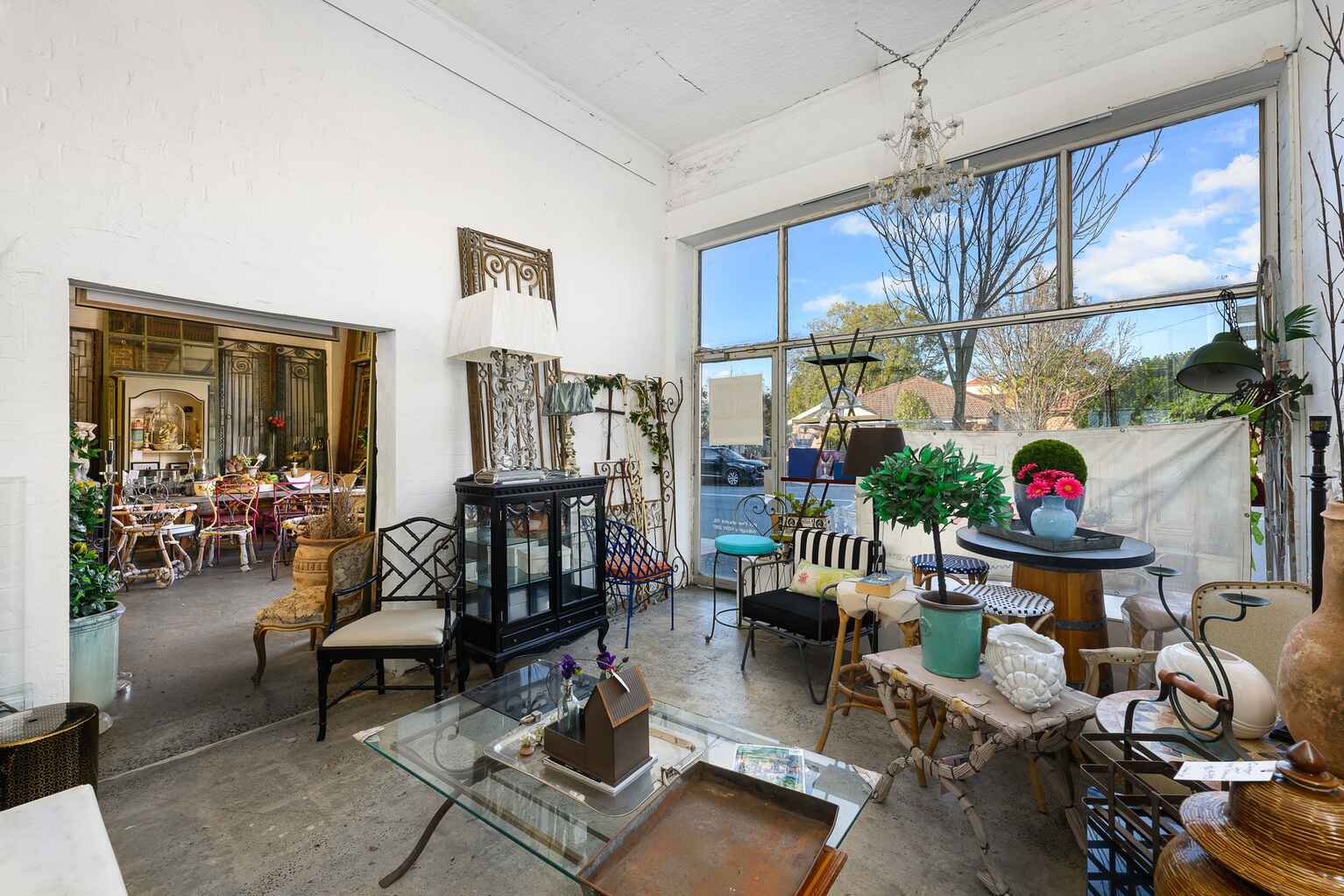 88 Penshurst Street Willoughby