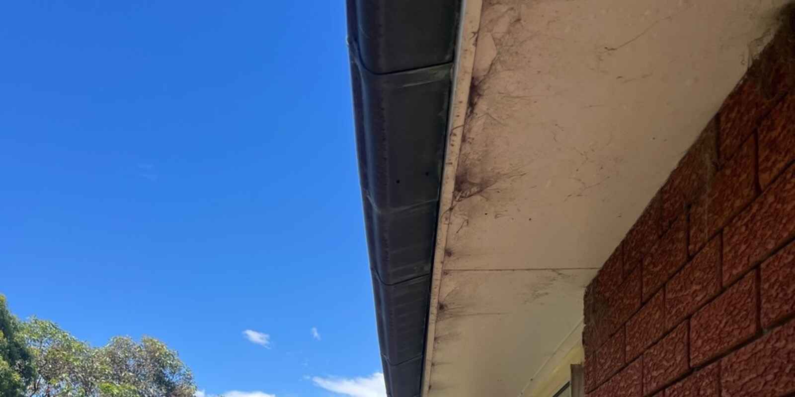 21/59 Lower Bent Street Neutral Bay