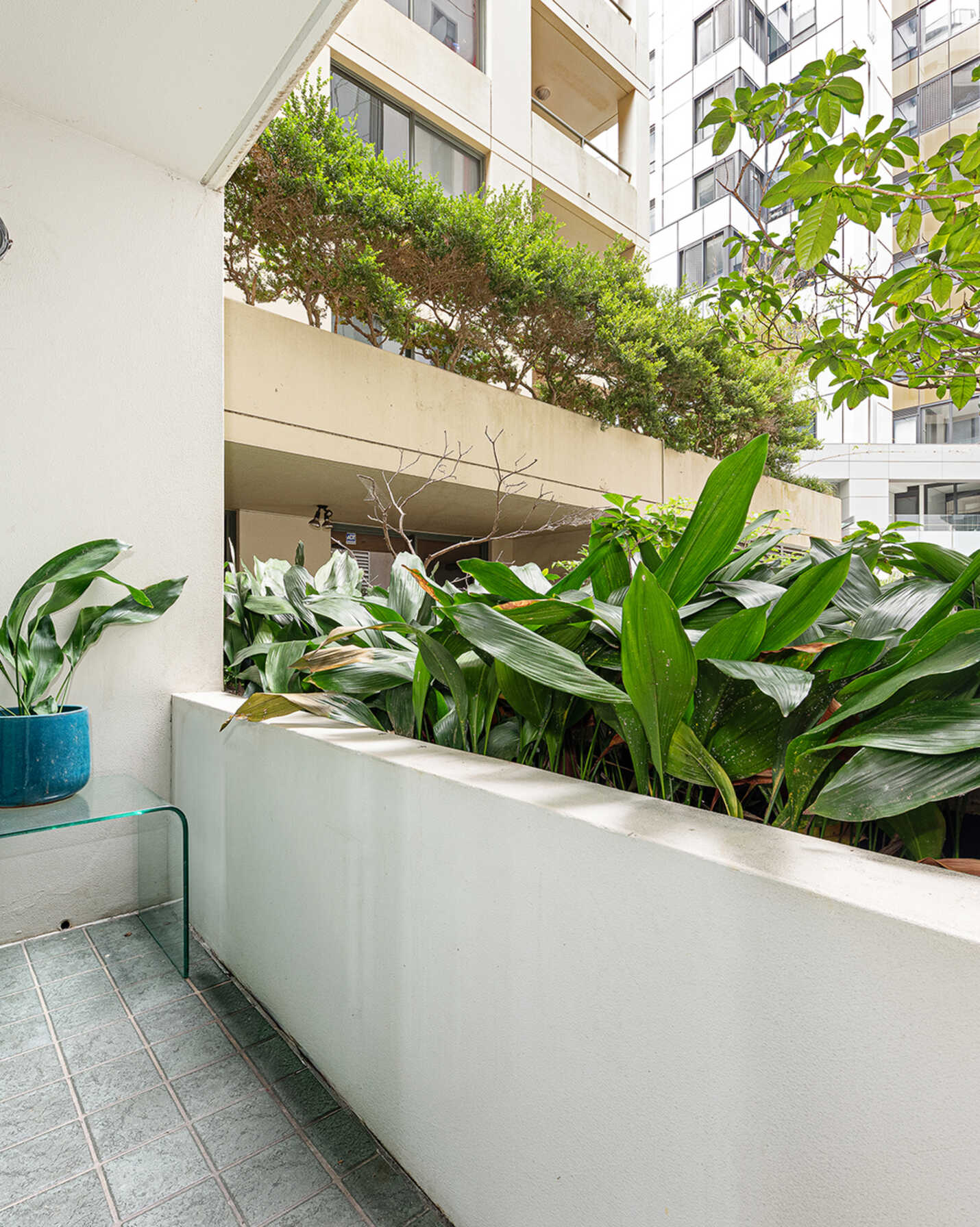 4/237 Miller Street North Sydney, Sydney - Thumbnail 5