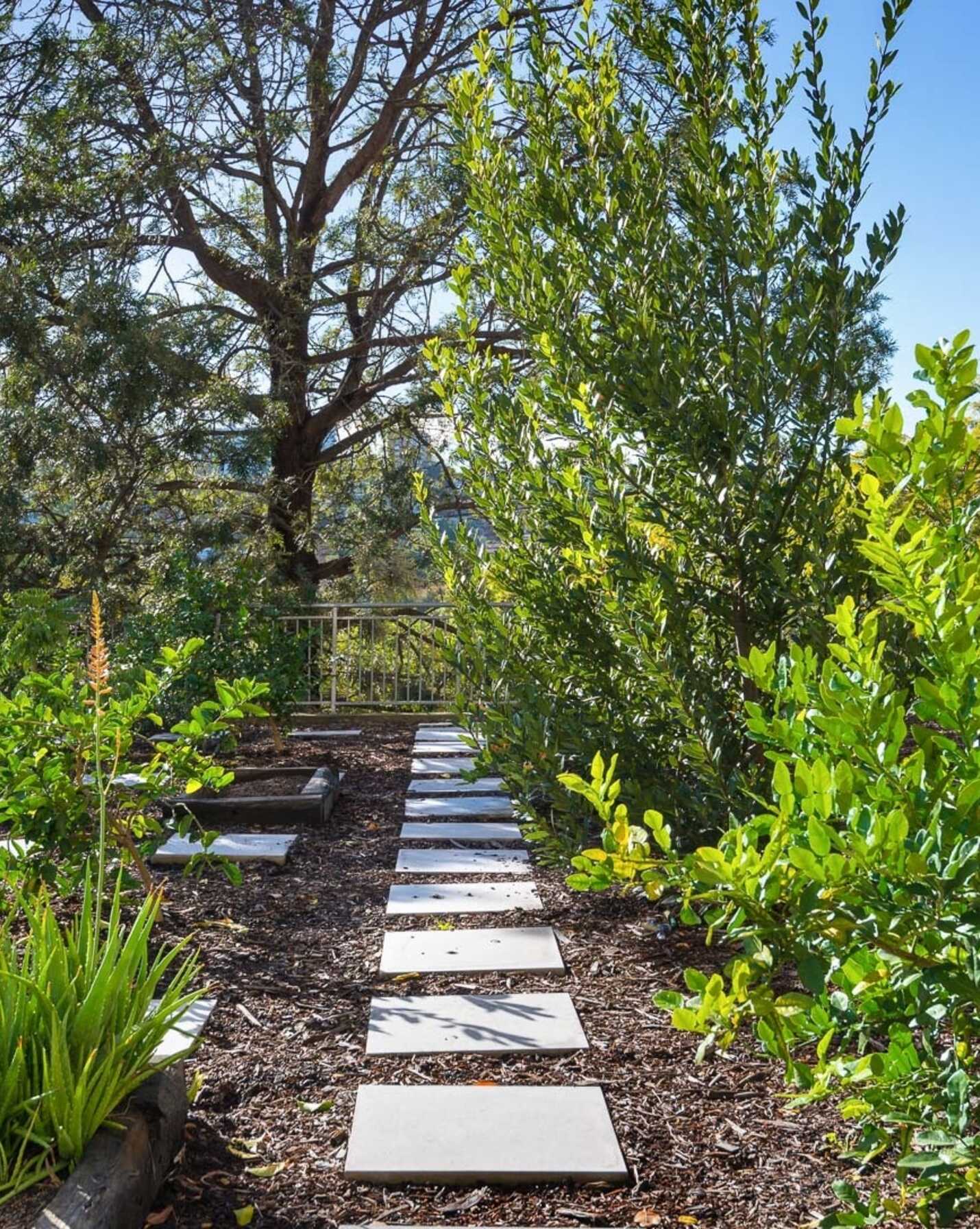 408/27 Neutral Street North Sydney, Sydney - Thumbnail 8