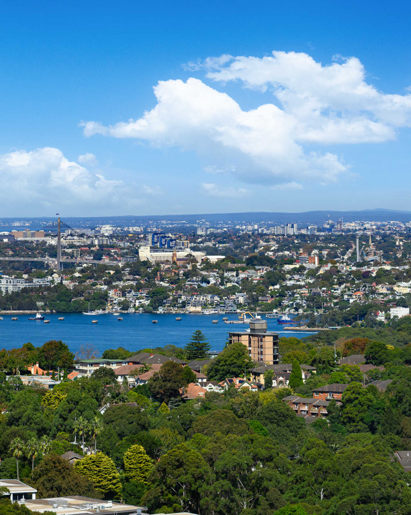1505/10 Atchison Street St Leonards, Leonards - Thumbnail 3