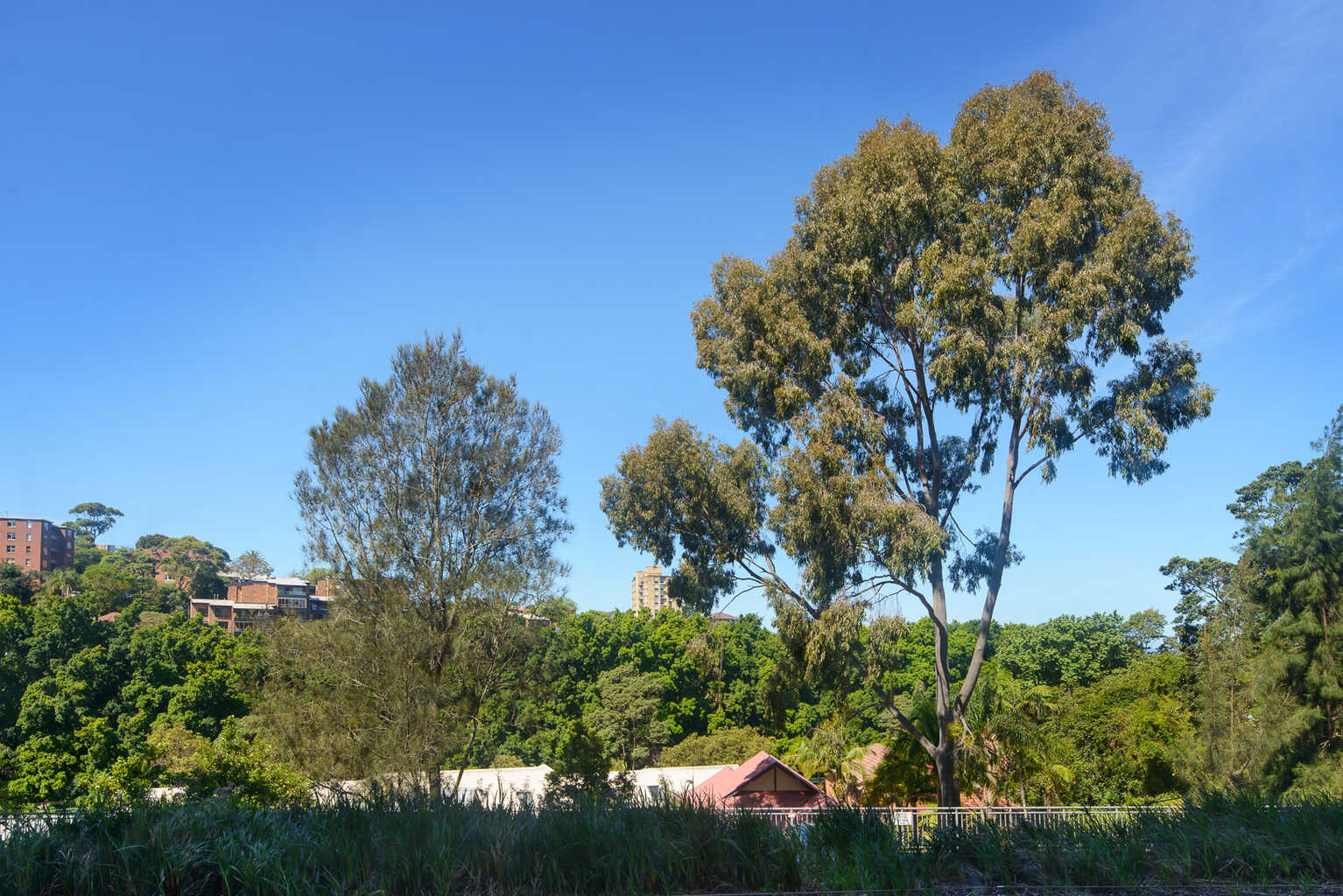 101/22 Doris Street North Sydney
