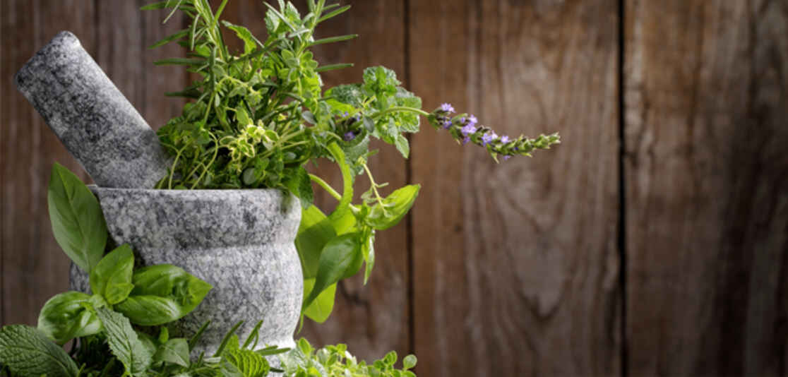 CREATE AN INDOOR HERB GARDEN CREATE AN INDOOR HERB GARDEN