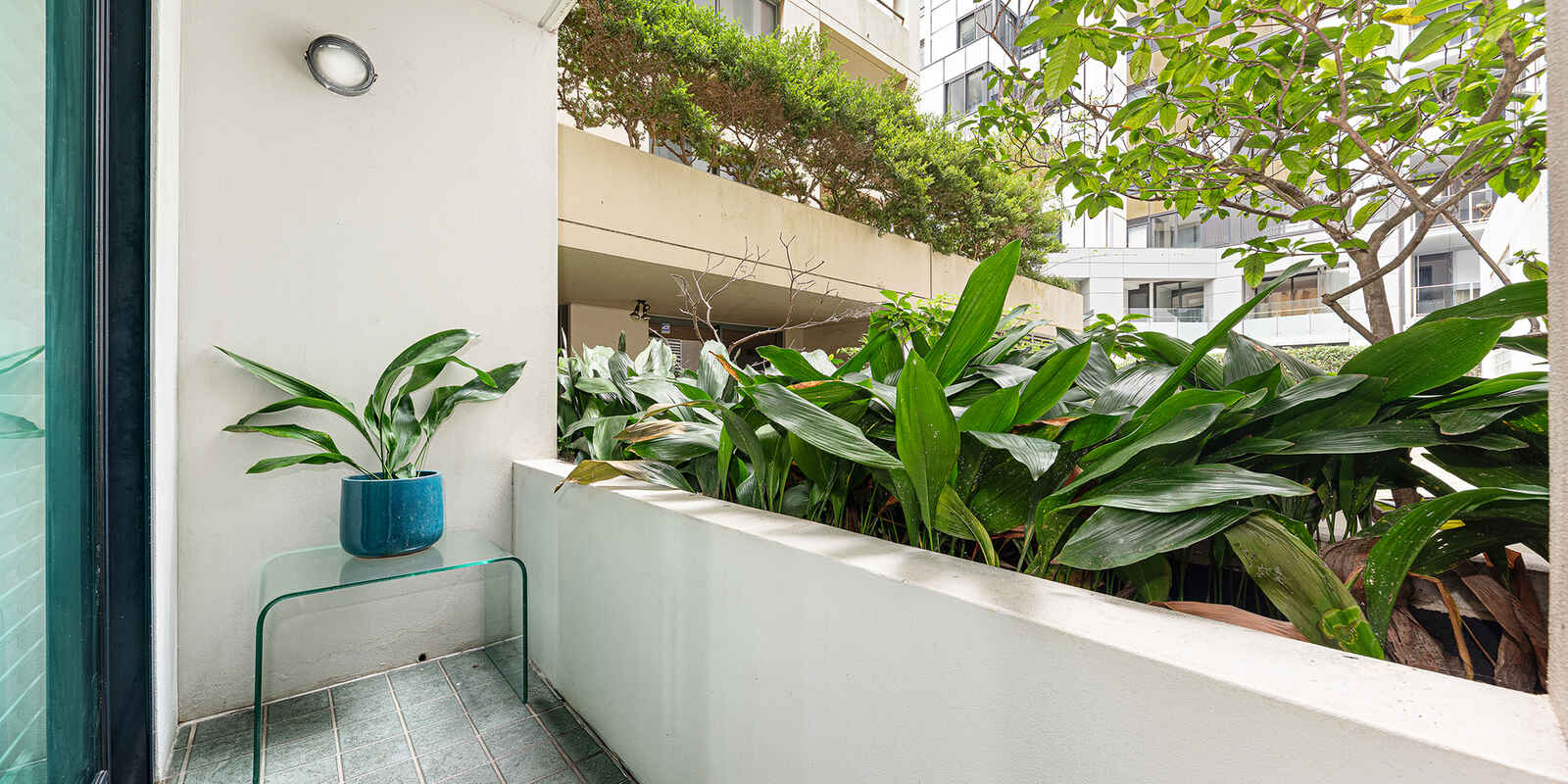 4/237 Miller Street North Sydney