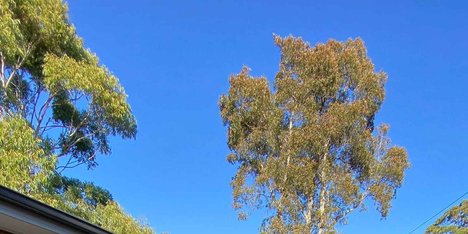 51A Burdekin Crescent St Ives